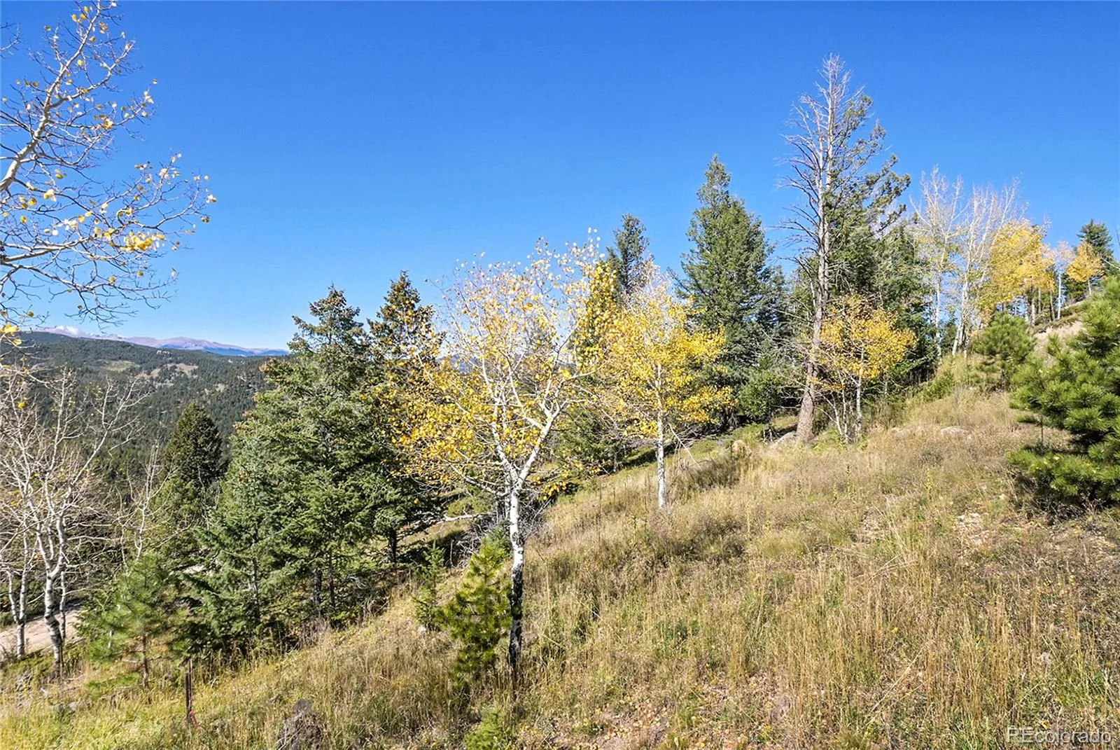 000 Granite Crag Circle Evergreen CO 80439 | MLS #REC6951789 04072026050249 1600 5