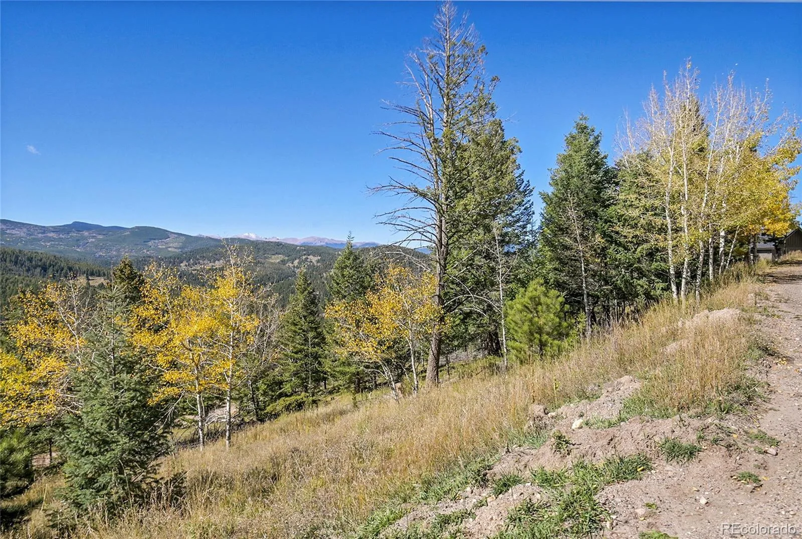 000 Granite Crag Circle Evergreen CO 80439 | MLS #REC6951789 04072026050249 1600 6