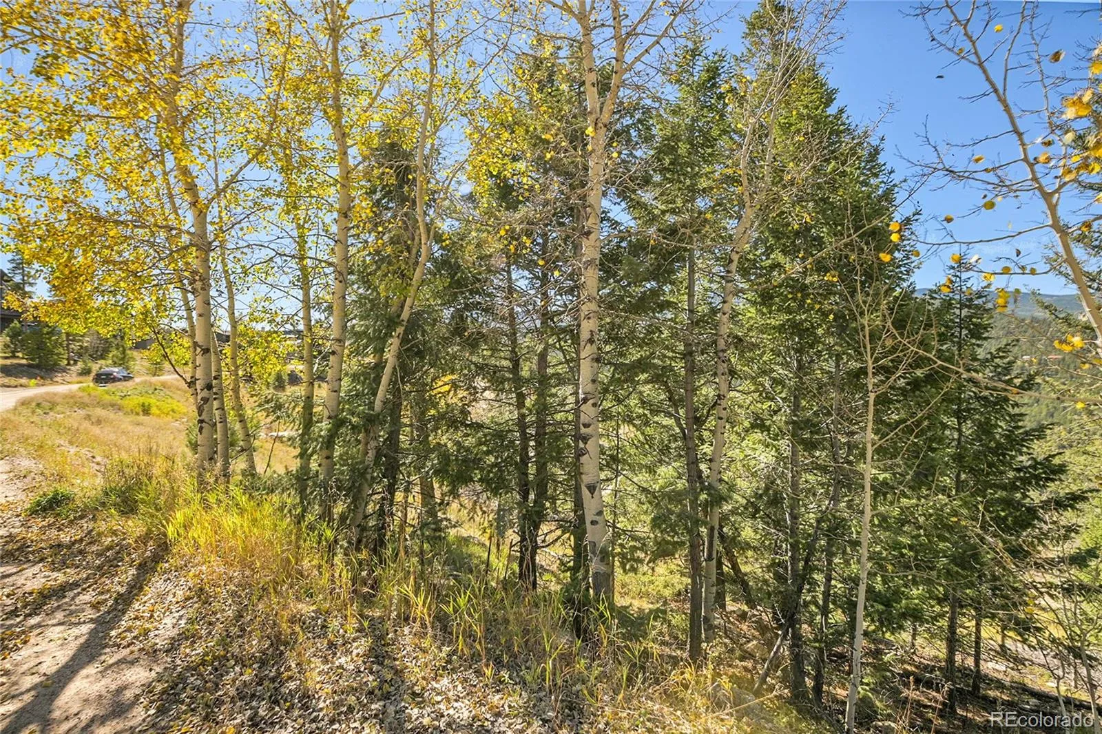 000 Granite Crag Circle Evergreen CO 80439 | MLS #REC6951789 04072026050249 1600 7