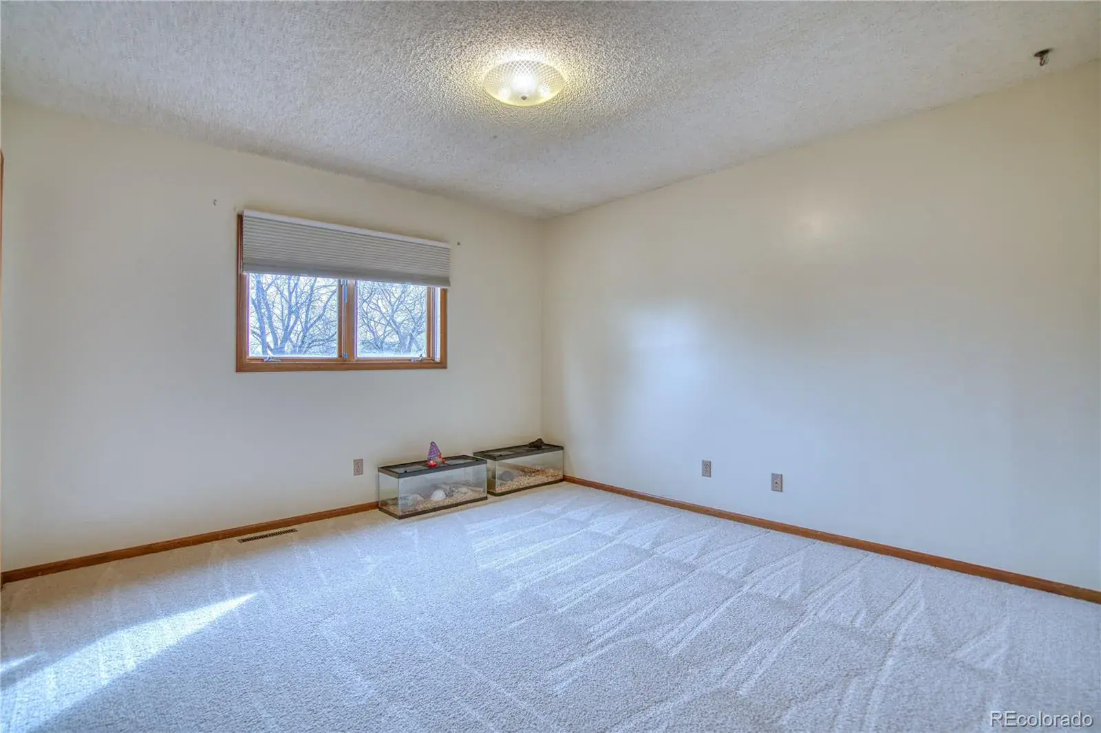 03052026160019 1600 18