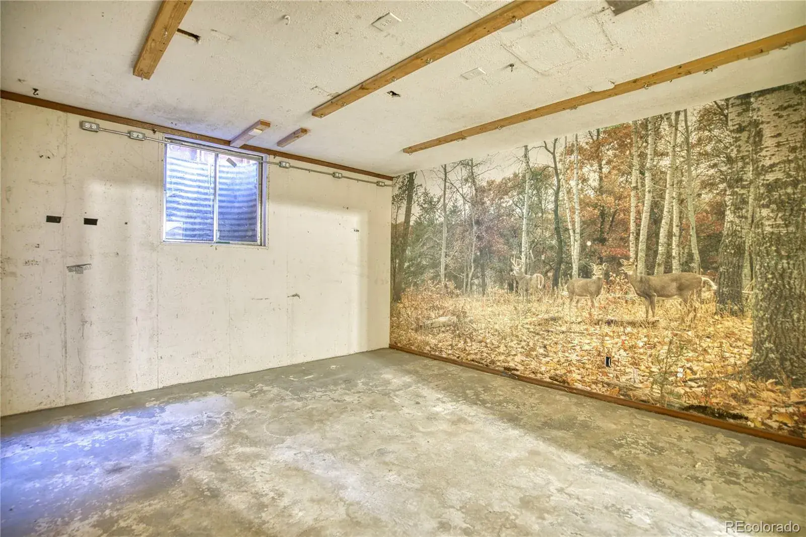 03052026160019 1600 24