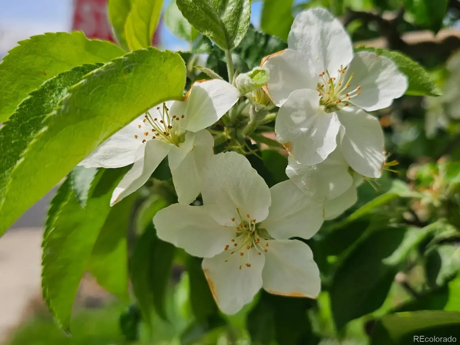 03052026160019 1600 26