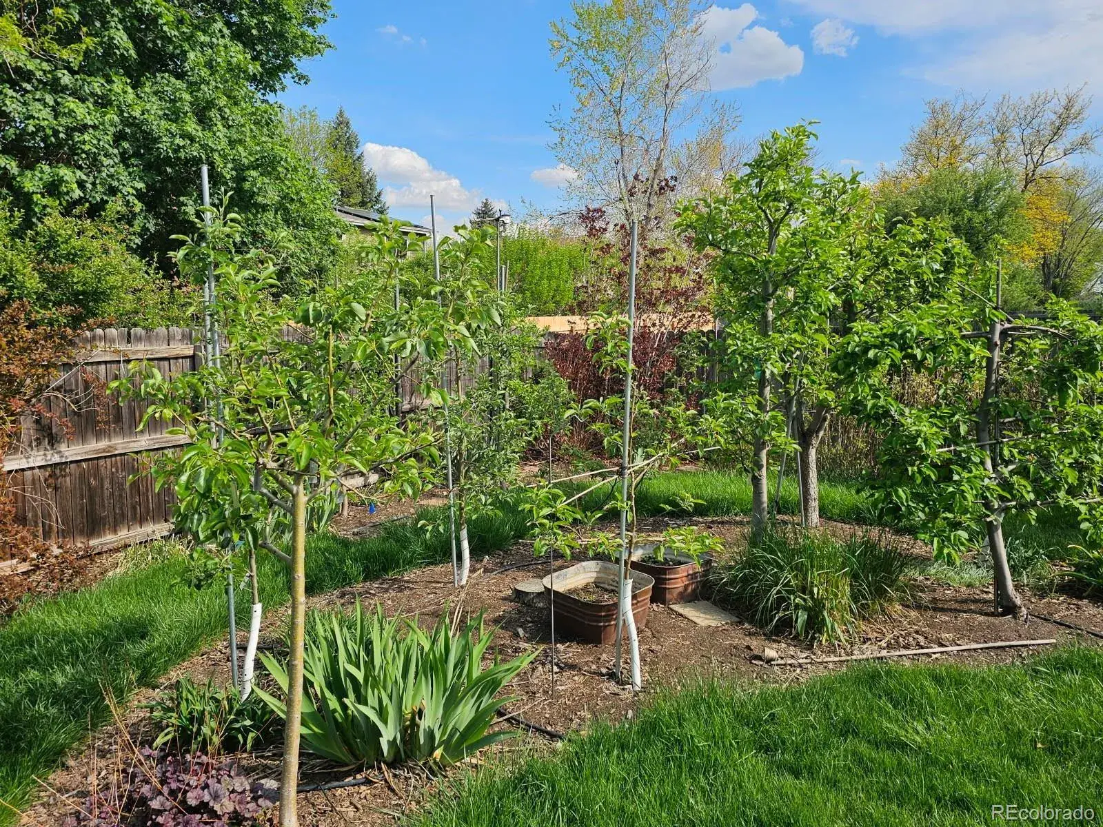 03052026160019 1600 27