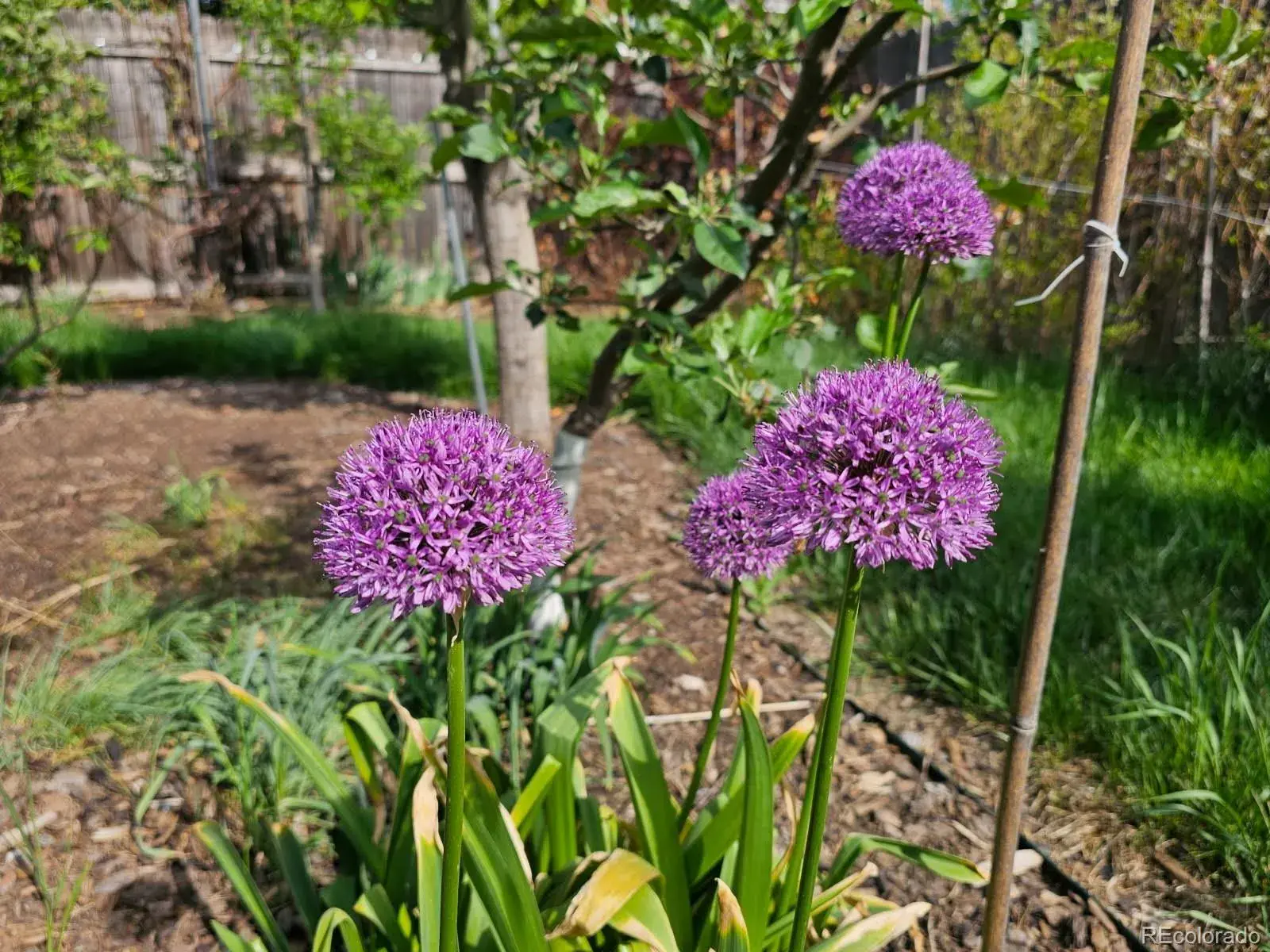 03052026160019 1600 29