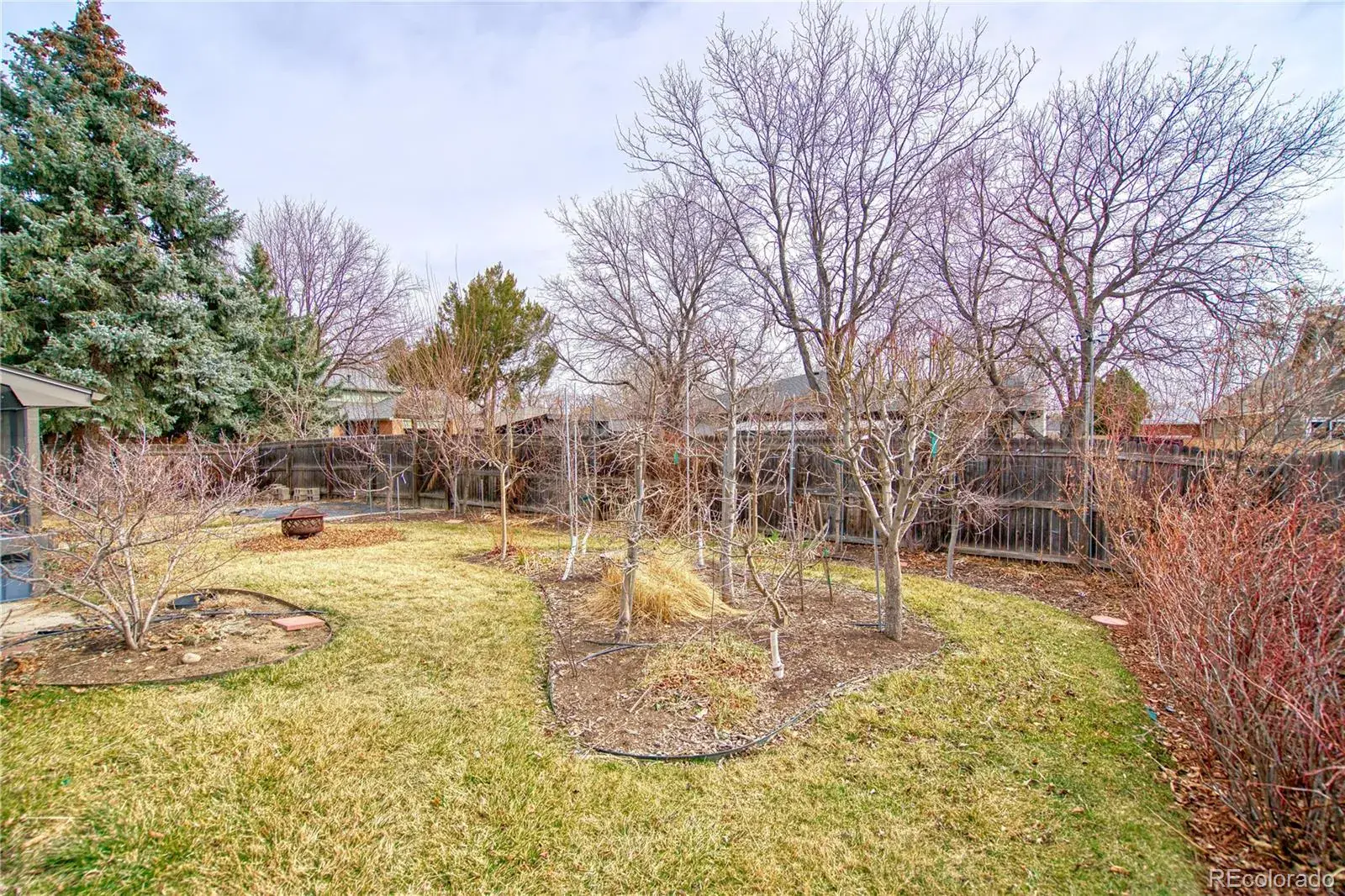 03052026160019 1600 31