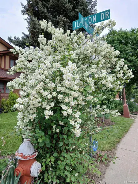 03052026160019 800 28