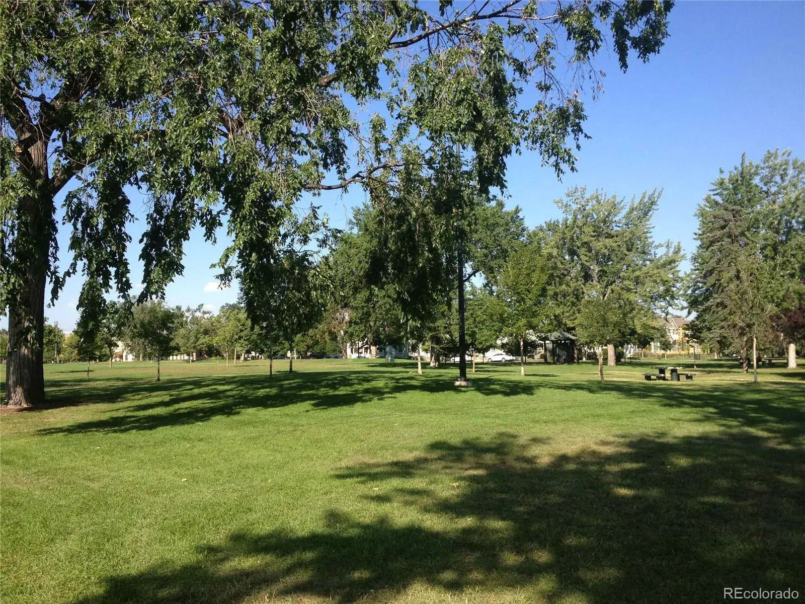 01212026221932 1600 41