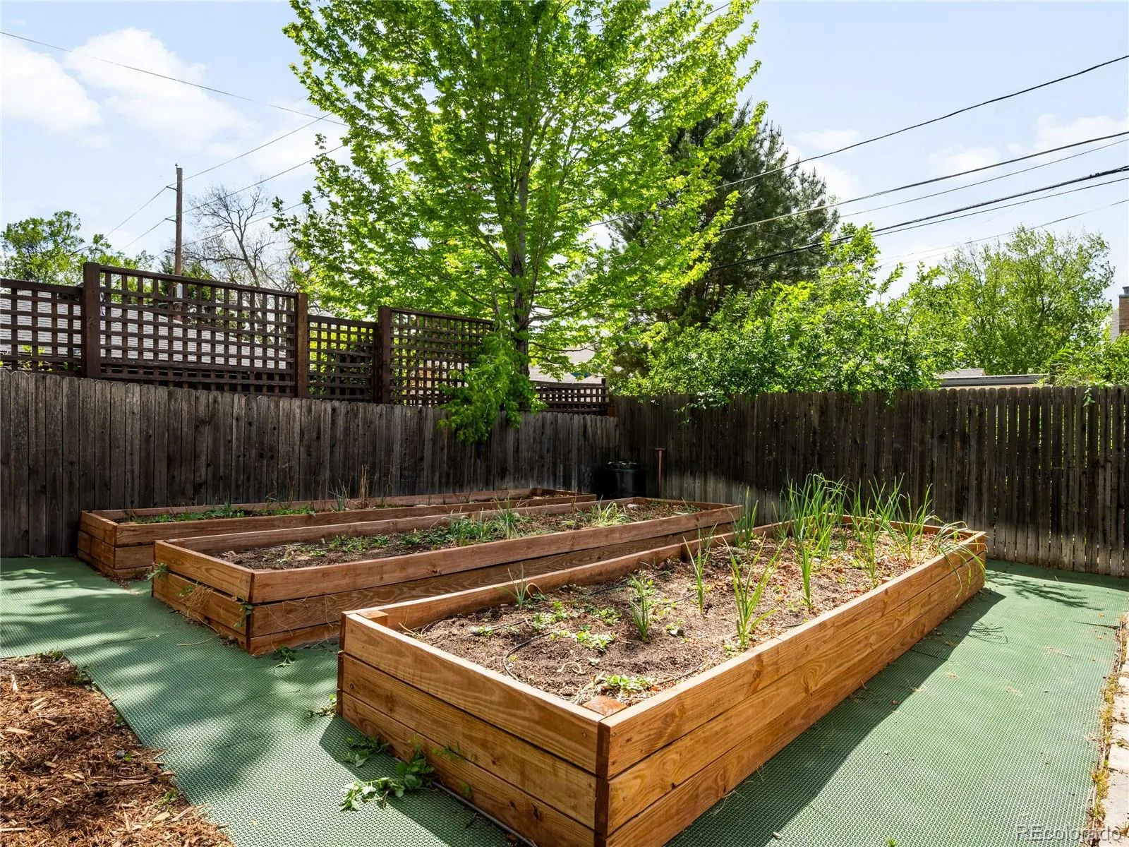 1315 S Gaylord Street Denver CO 80210 MLS #REC6969573 05092026030827 1600 33