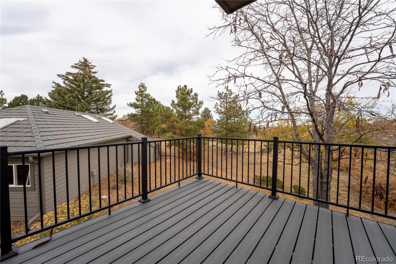 1120 N Bader Court Castle Rock CO 80104 | MLS #REC6973614 08282026230830 1600 31