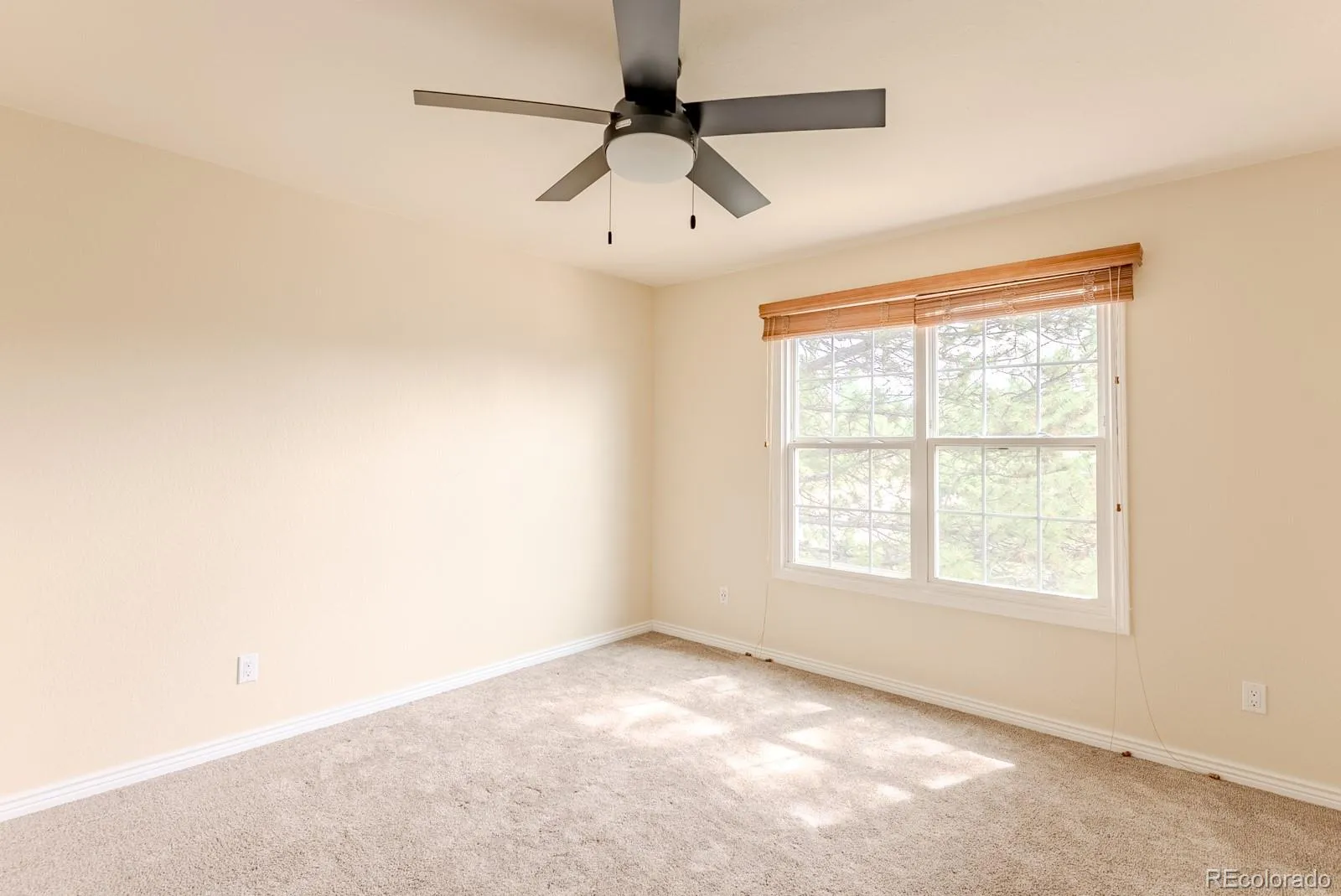 1914 Terrace Drive Highlands Ranch CO 80126 MLS #REC6975199 05212026035411 1600 29