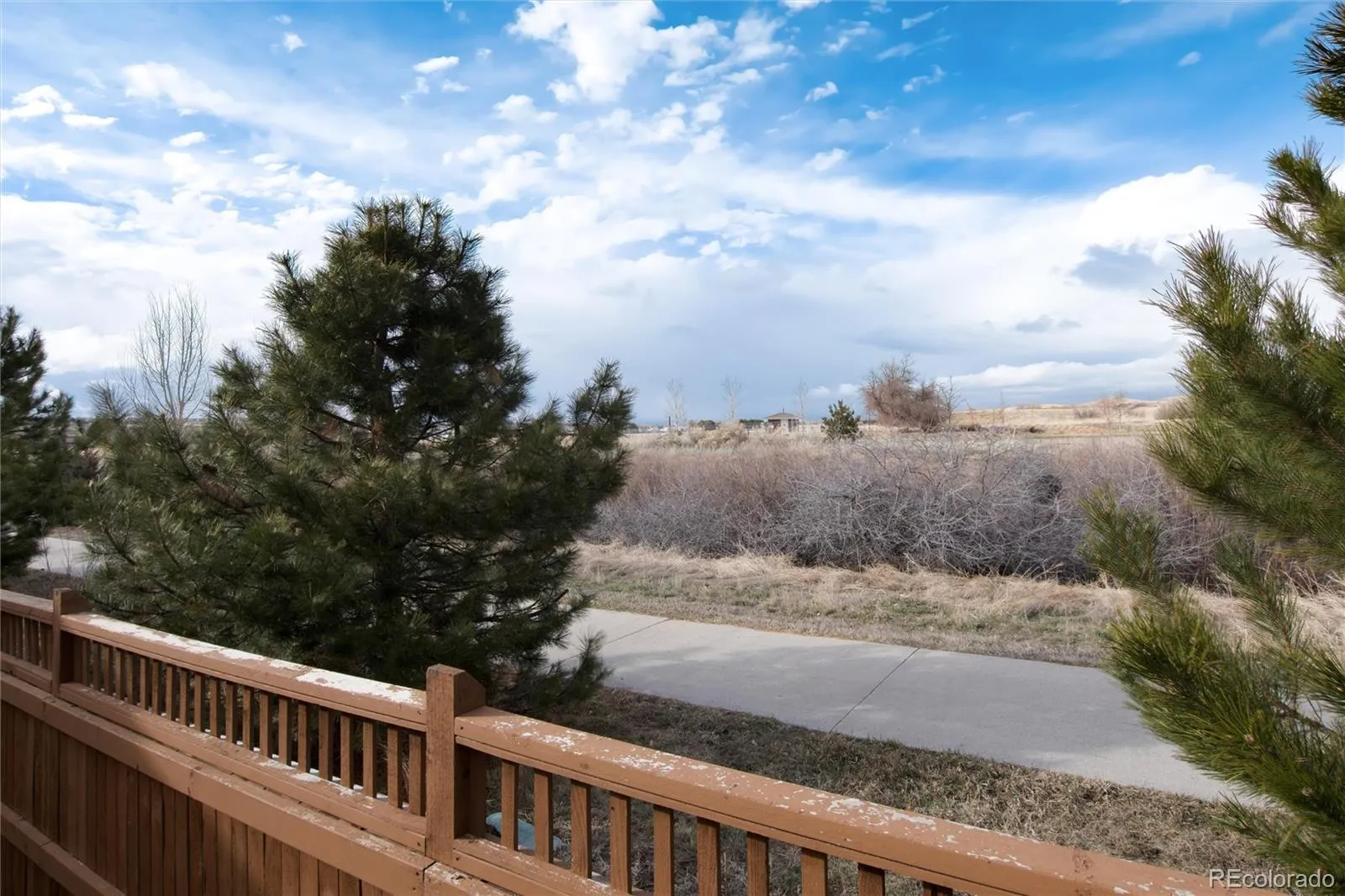 6609 Pinery Villa Place Parker CO 80134 MLS #REC6975417 04302026010539 1600 37