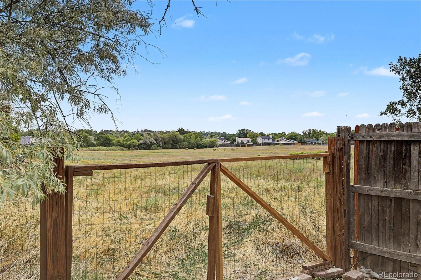 4594 S Union Street Morrison CO 80465 | MLS #REC6979635 08142026202908 1600 25