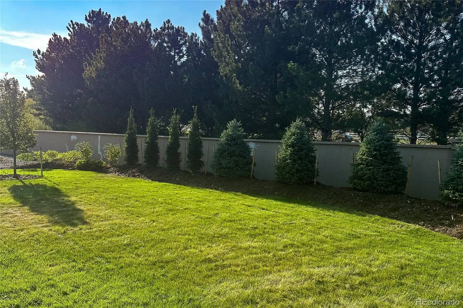 03212026172224 1600 33