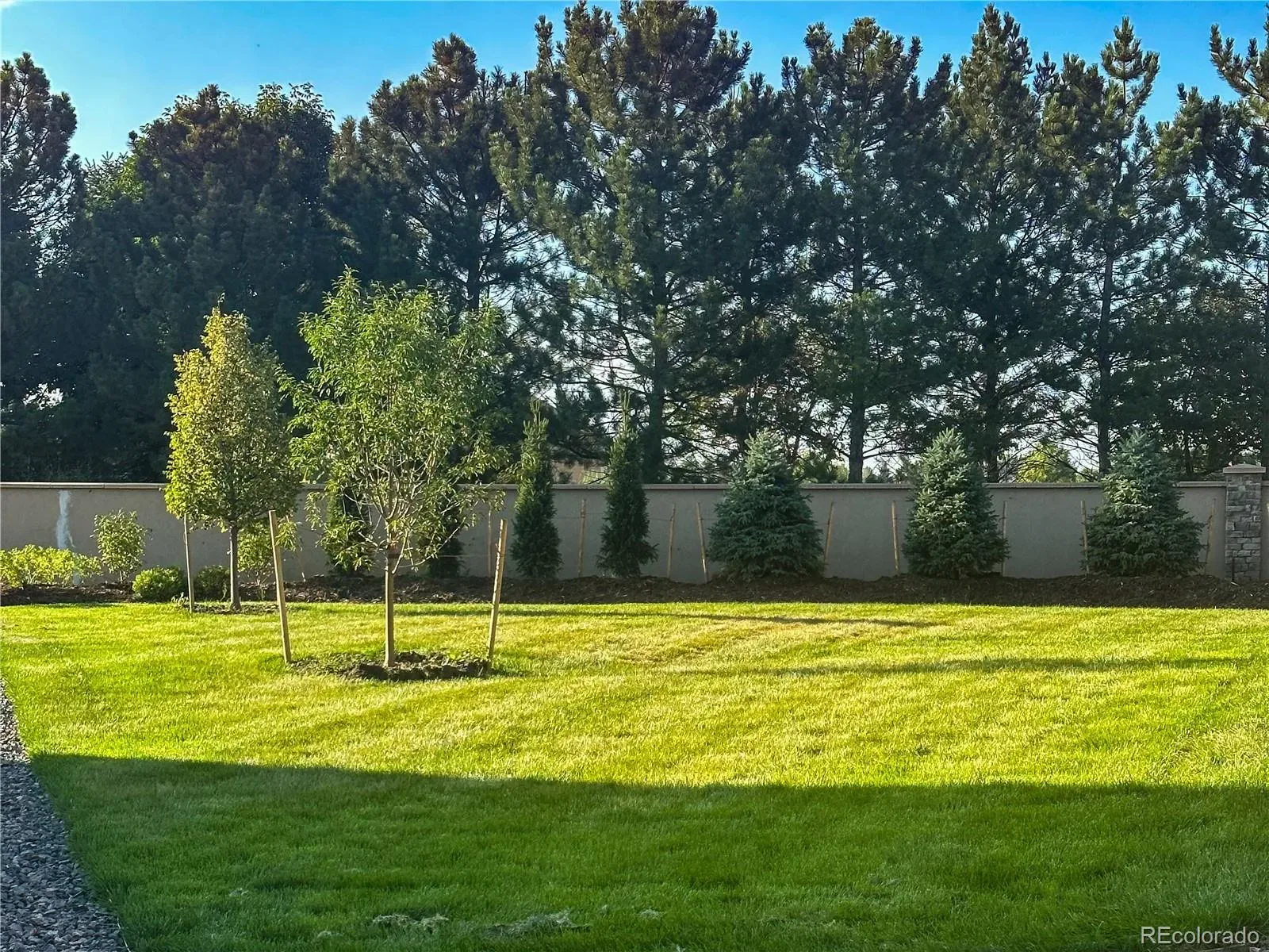 03212026172224 1600 35