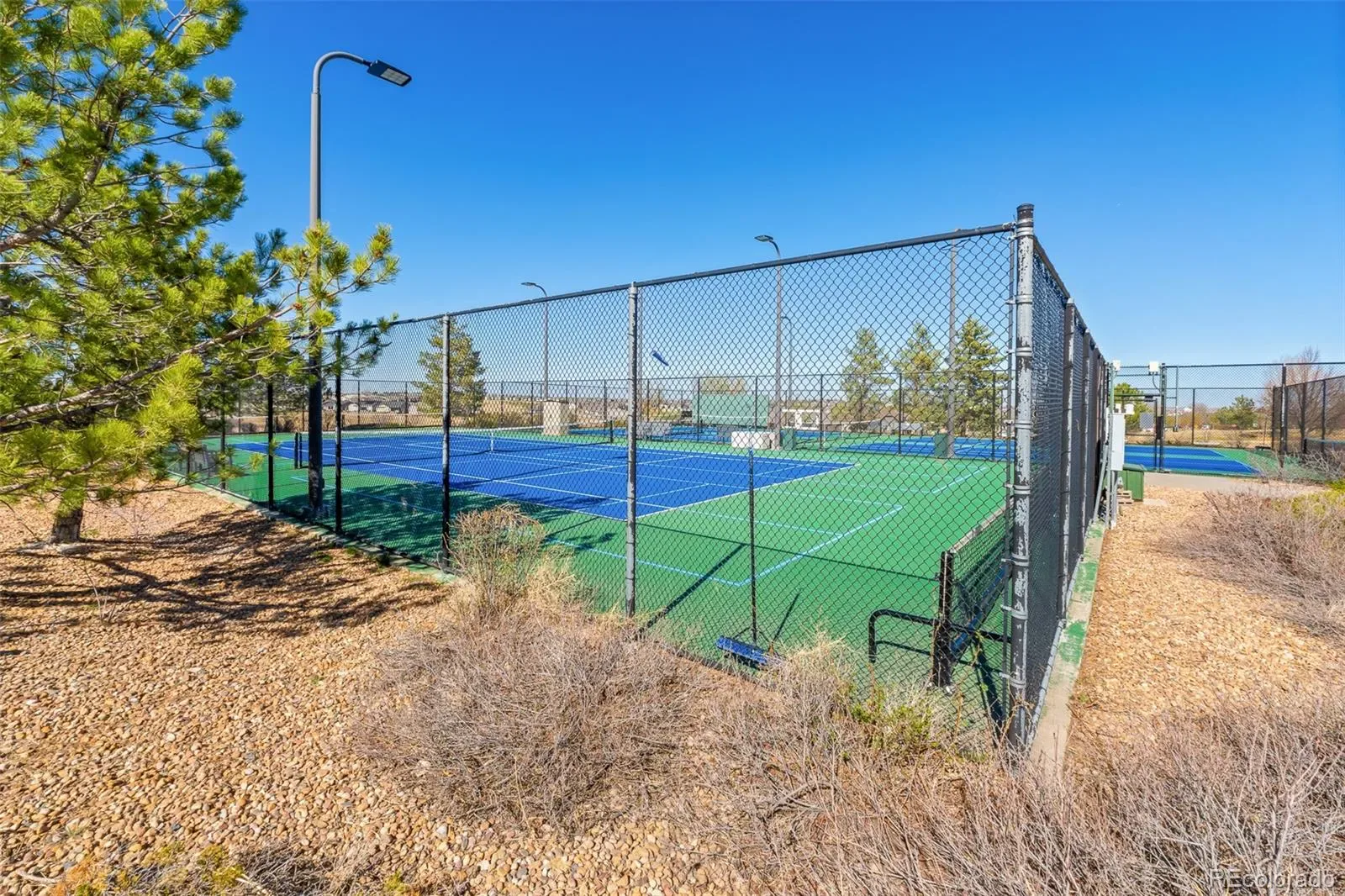 03212026172224 1600 49