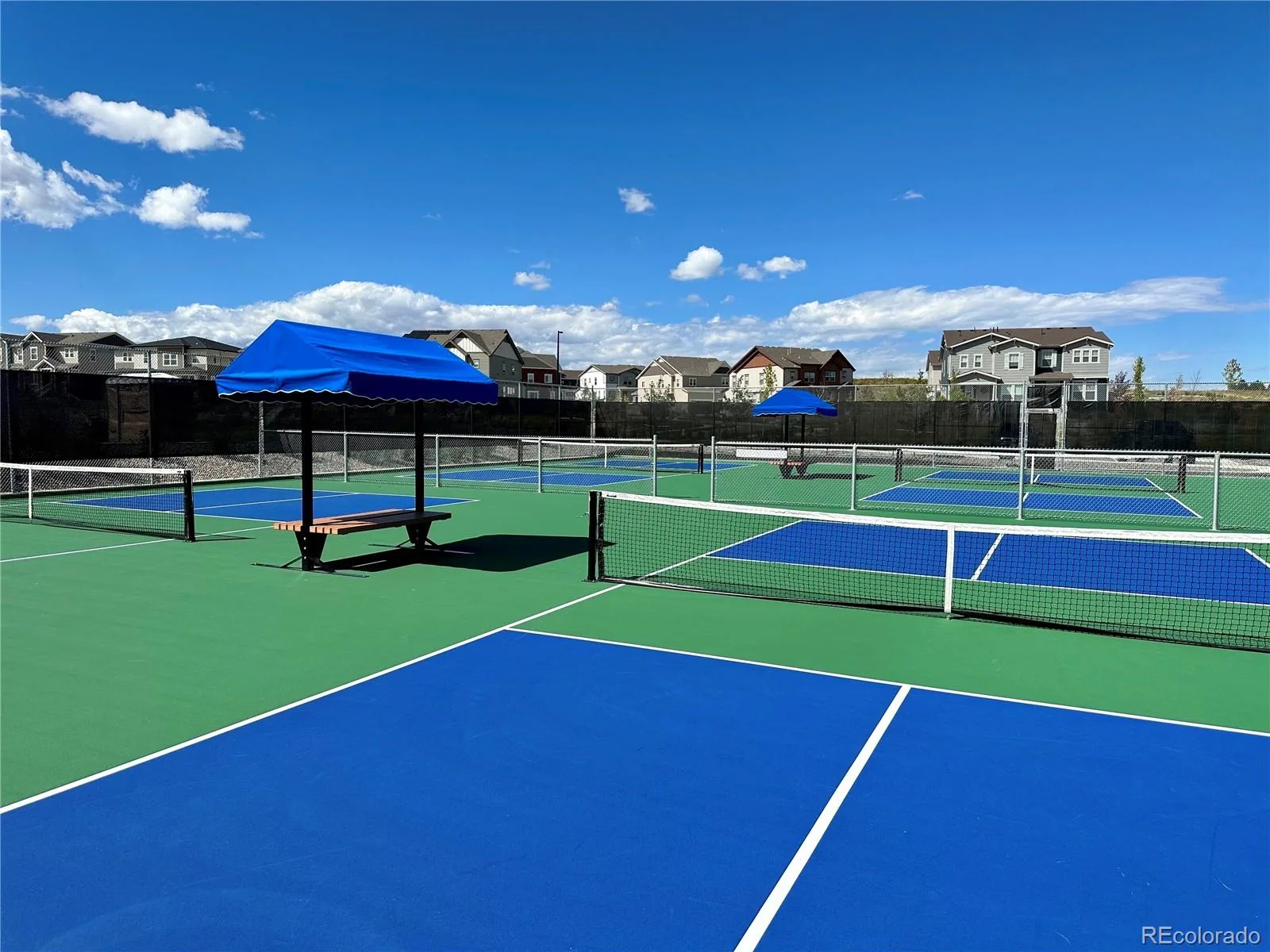 13998 Shasta Daisy Street Parker CO 80134 MLS #REC6986714 06032026222818 1600 30