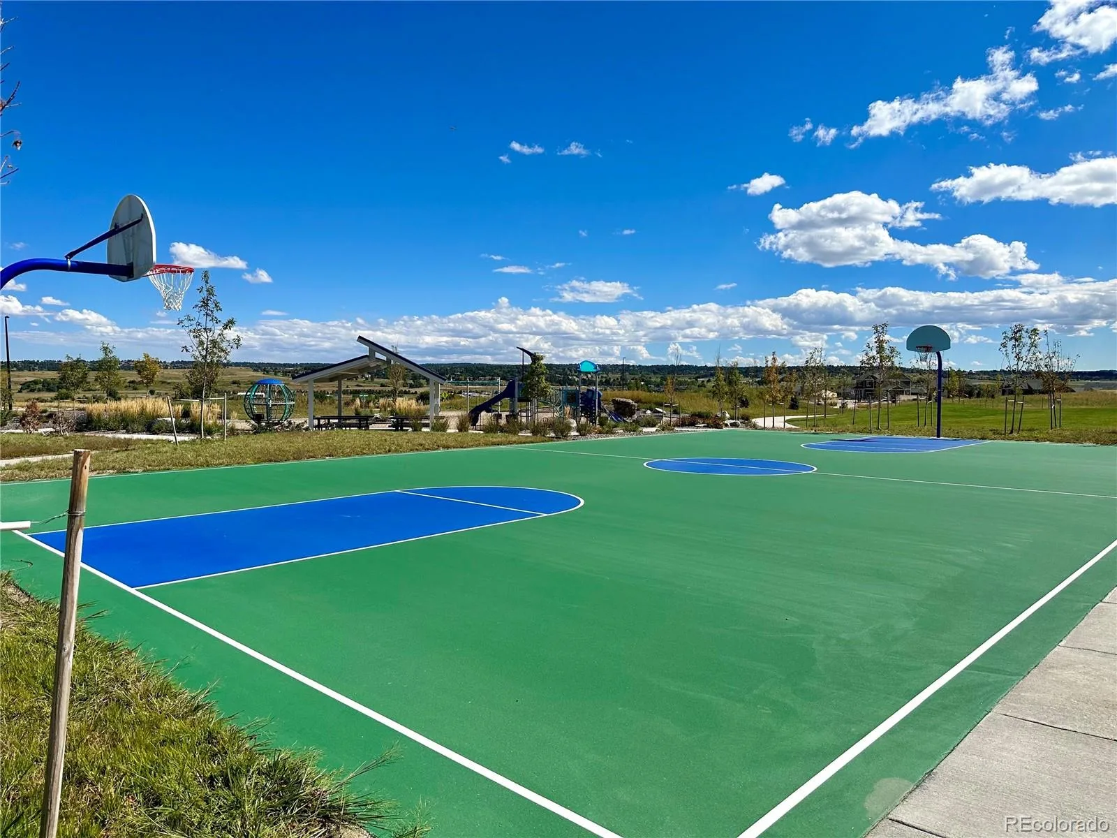 13998 Shasta Daisy Street Parker CO 80134 MLS #REC6986714 06032026222818 1600 31