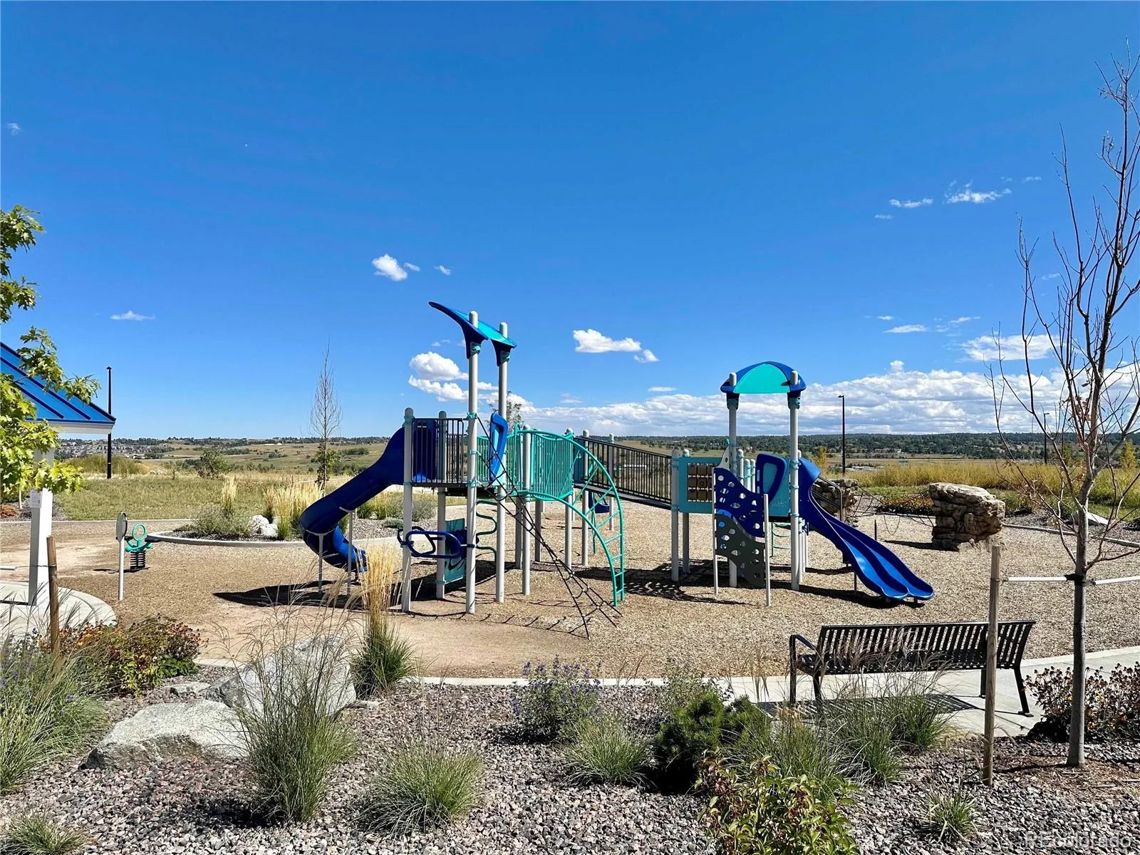 13998 Shasta Daisy Street Parker CO 80134 MLS #REC6986714 06032026222818 1600 34