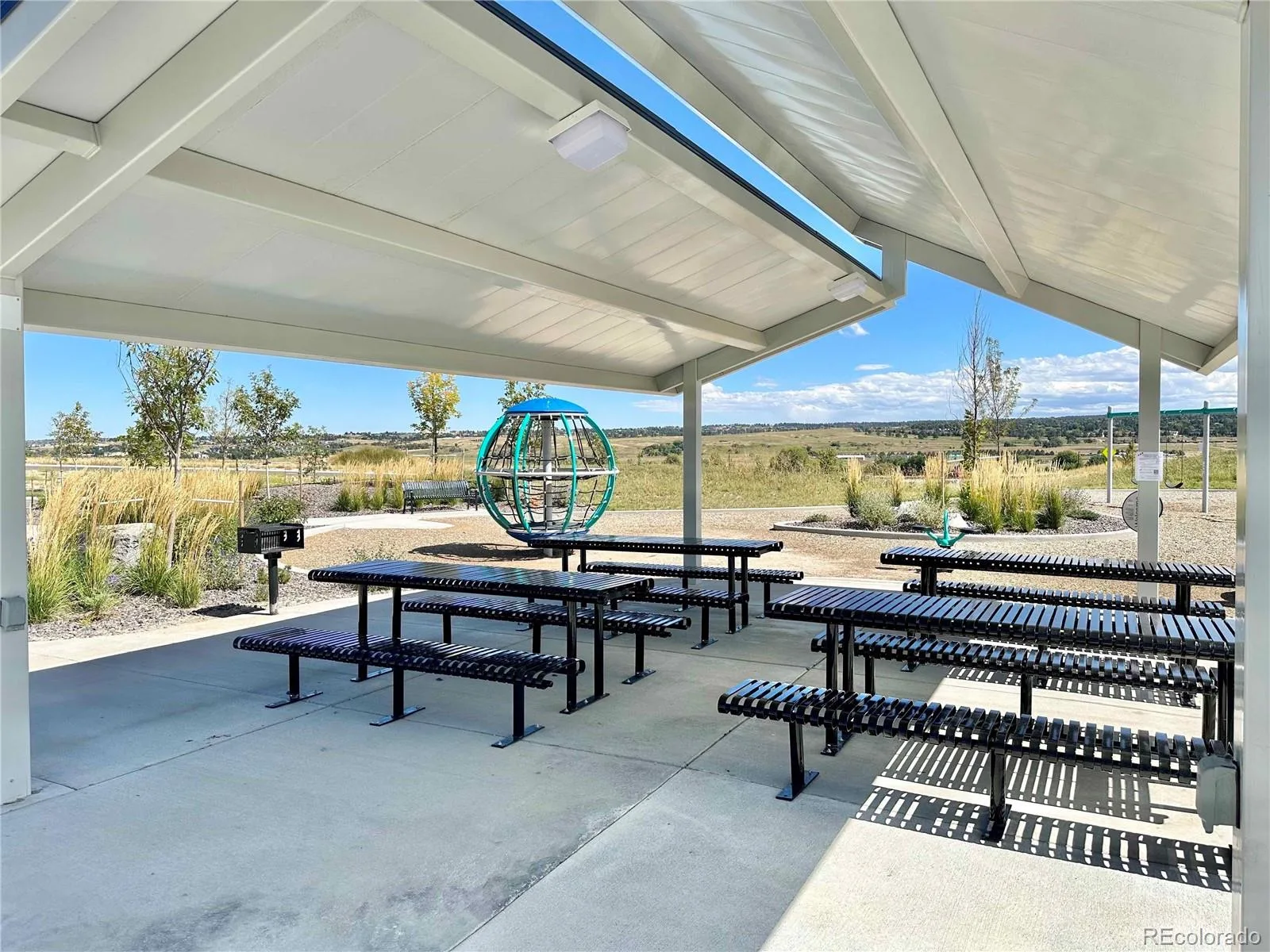 13998 Shasta Daisy Street Parker CO 80134 MLS #REC6986714 06032026222818 1600 35