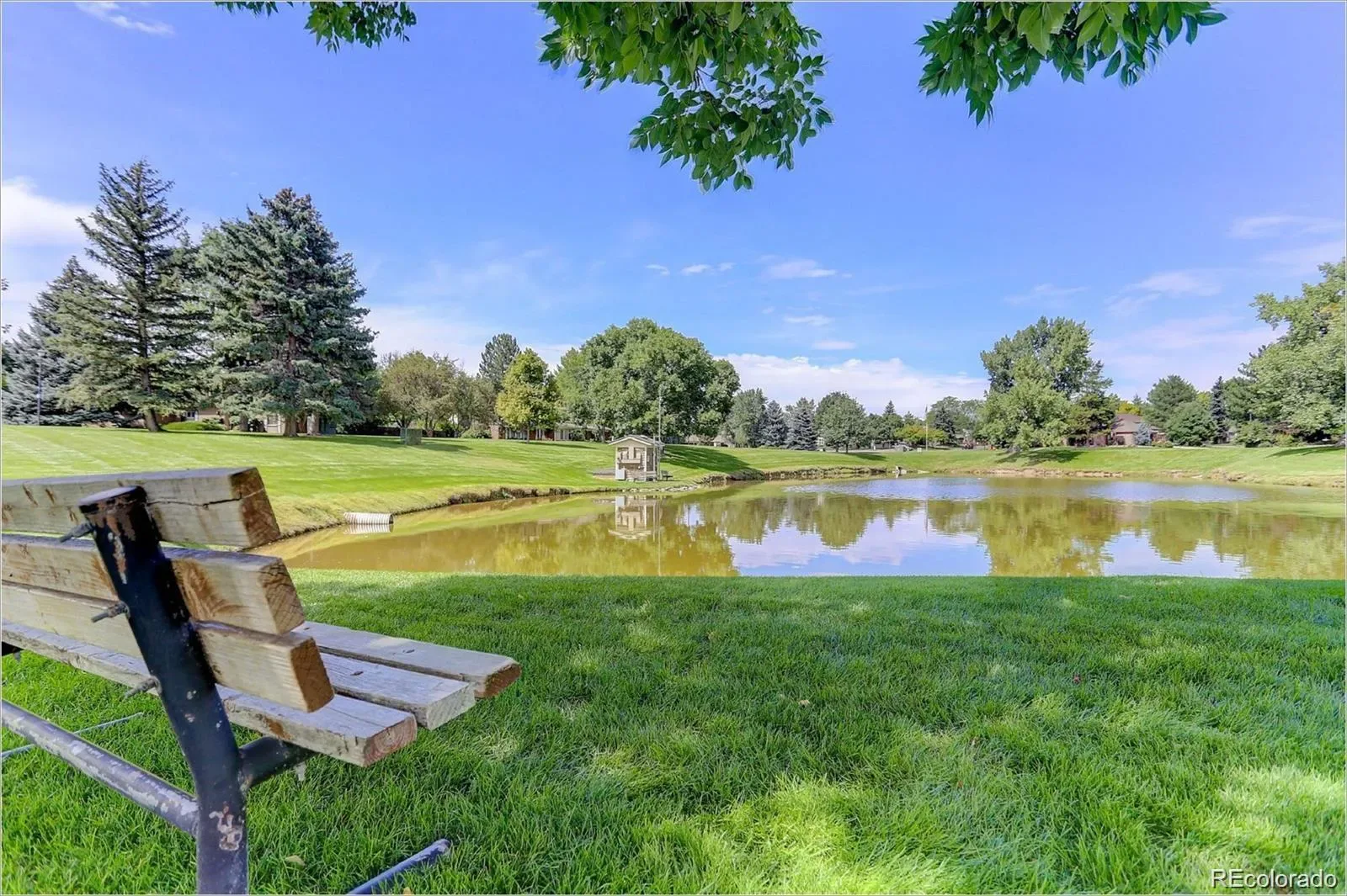 03312026193222 1600 41