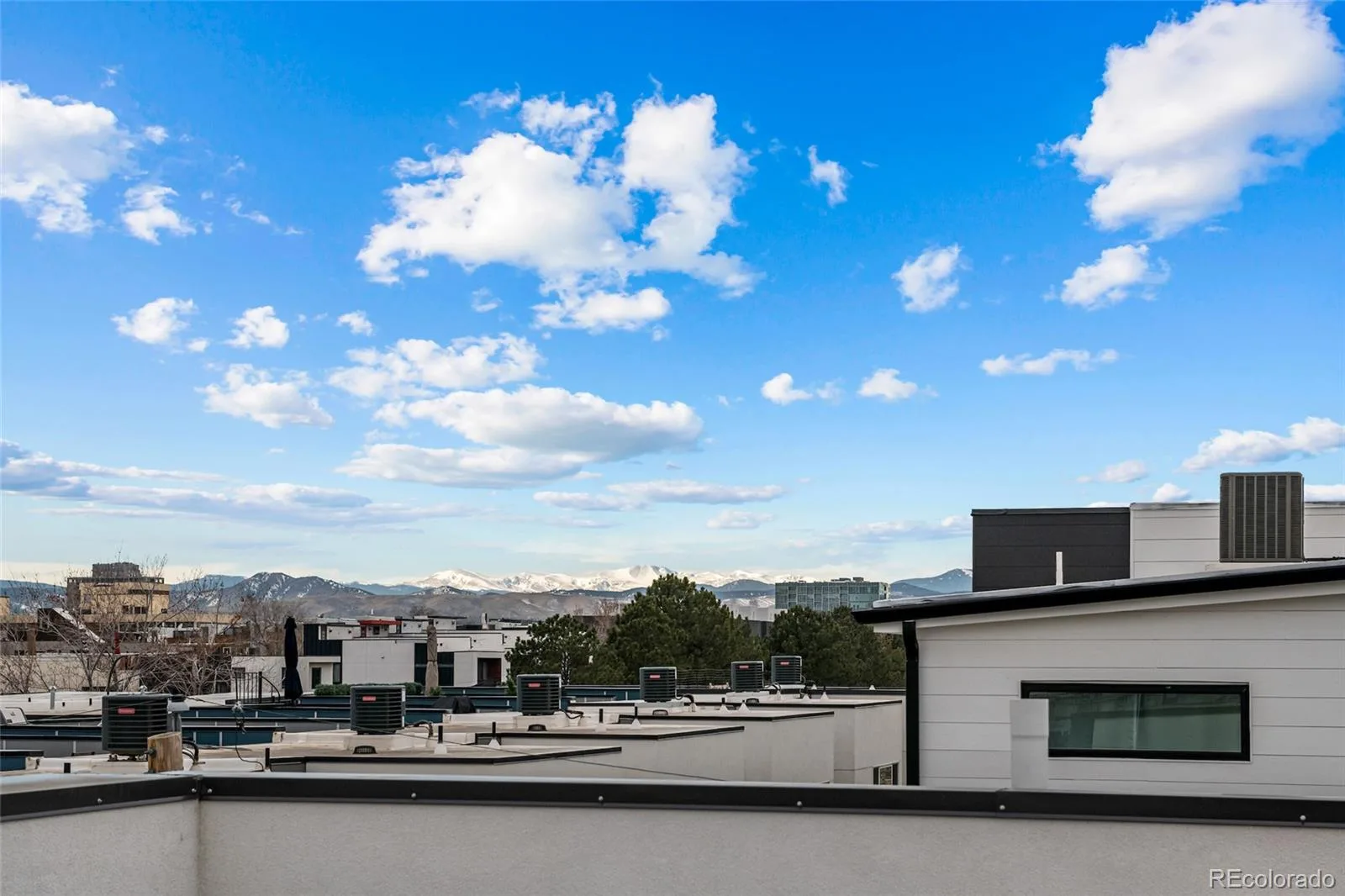 1821 Irving Street #104 Denver CO 80204 | MLS #REC6988952 09252026213355 1600 19