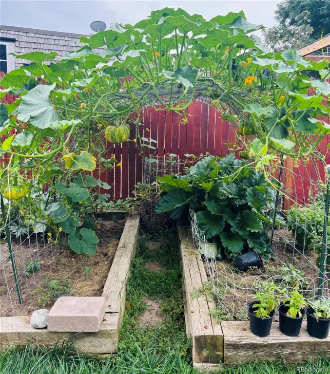 02182026185312 1024 40