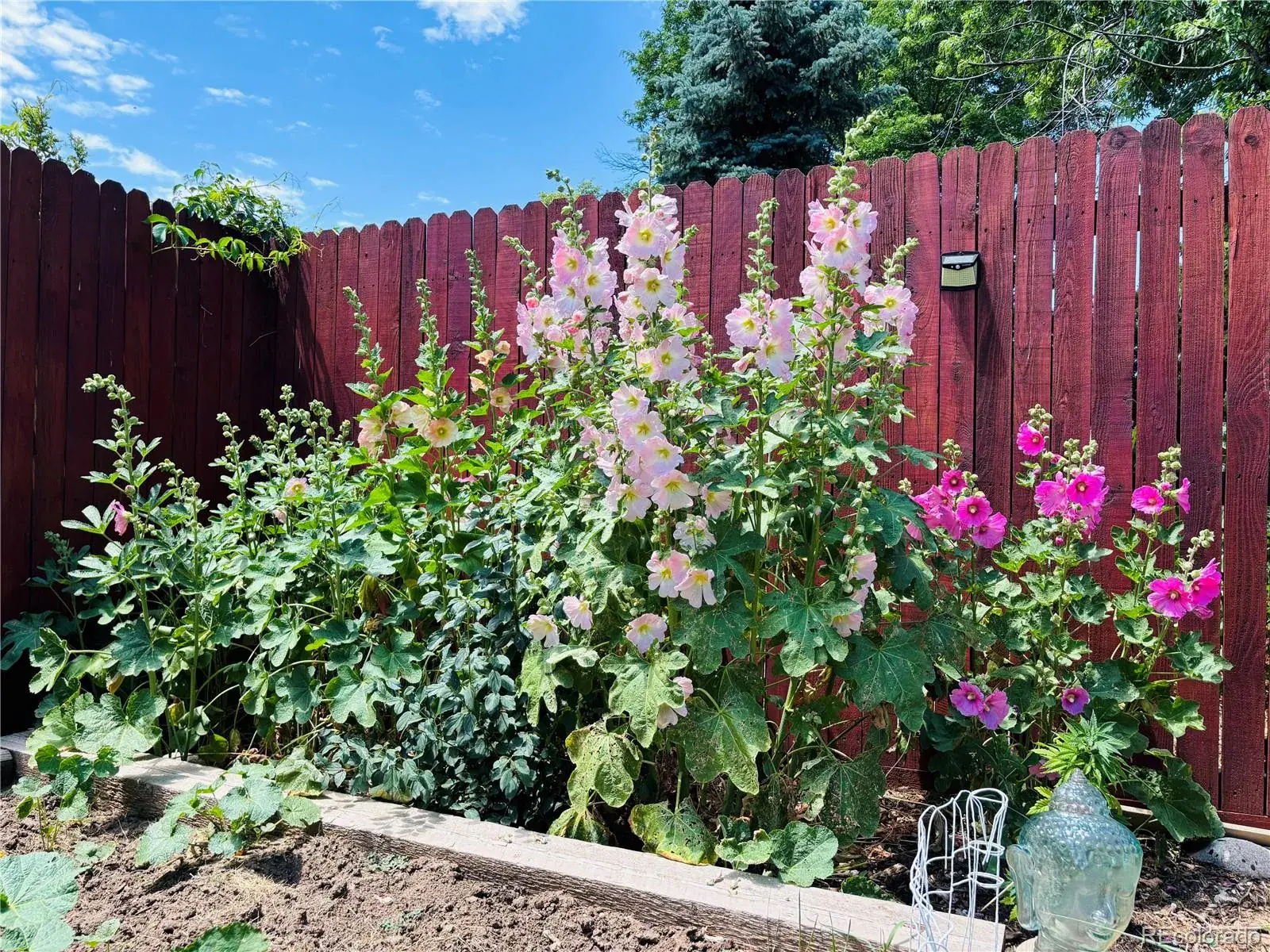 02182026185312 1600 38