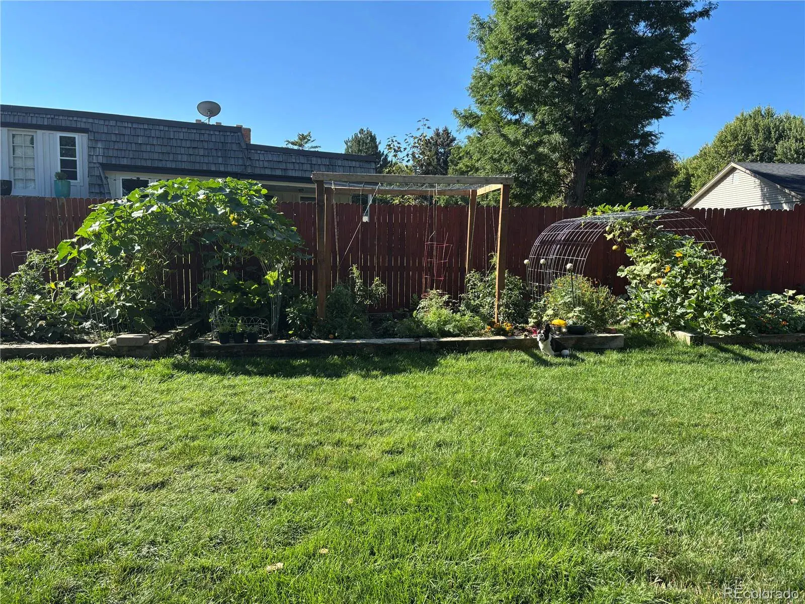 02182026185312 1600 39