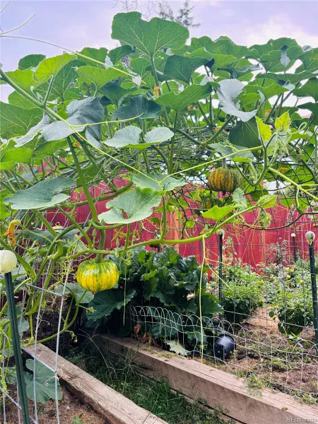 02182026185312 800 41