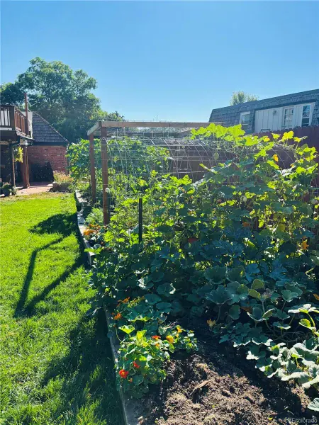 02182026185312 800 42