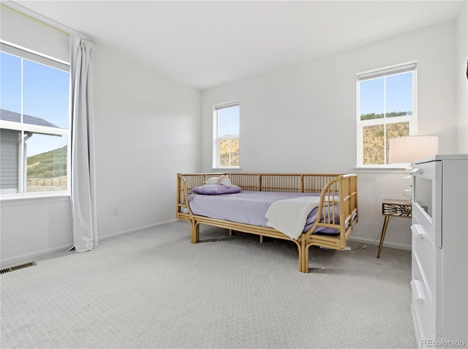 33 Felicity Loop Castle Rock CO 80109 MLS #REC7000265 07252026020548 1600 37