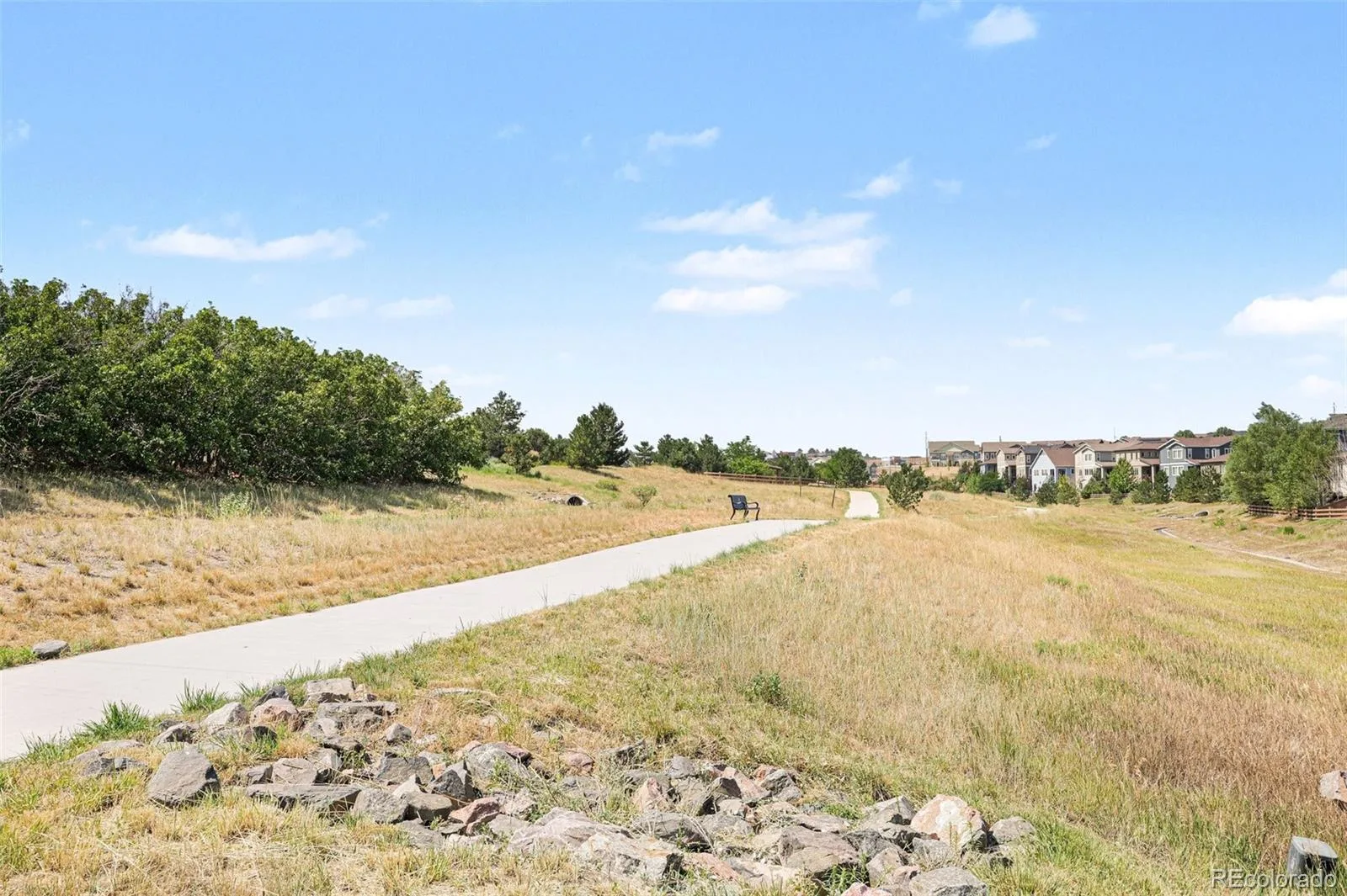1704 Tall Tale Lane Castle Rock CO 80108 | MLS #REC7006585 08132026171639 1600 28