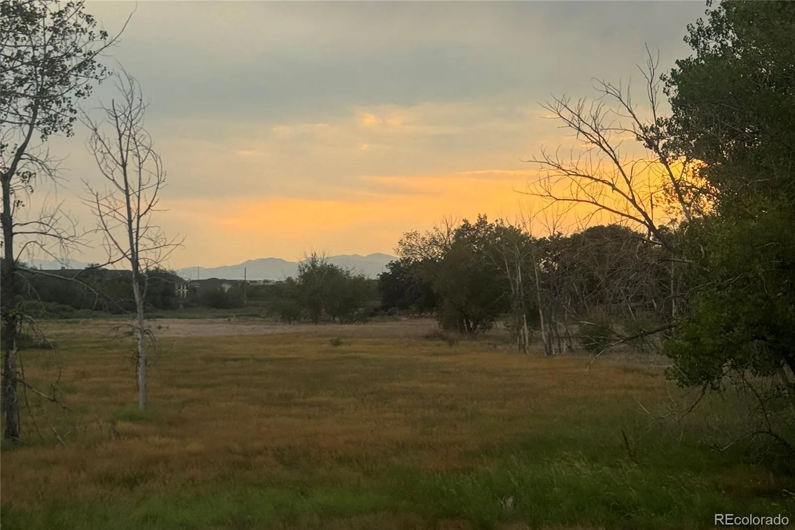 12325 Josephine Court Thornton CO 80241 | MLS #REC7007150 08202026154410 1600 32