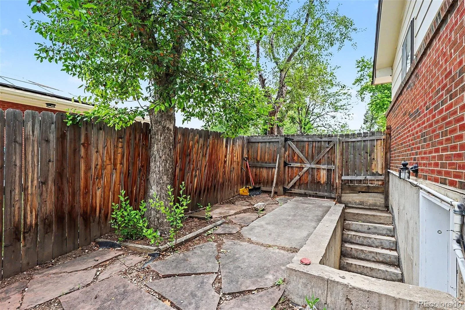 808 20th Street Golden CO 80401 MLS #REC7007846 06092026050108 1600 14