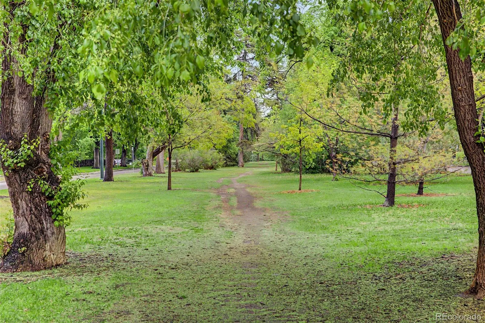 500 Glencoe Street Denver CO 80220 MLS #REC7008007 05232026095351 1600 44