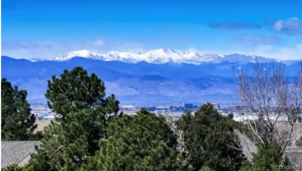 13786 Travois Trail Parker CO 80138 MLS #REC7008099 05202026222715 1024 45