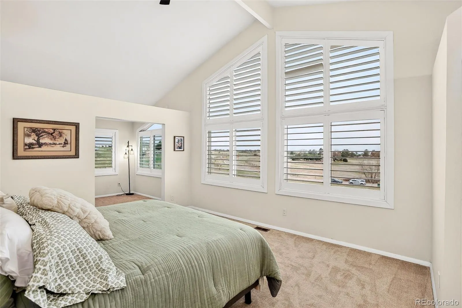 13786 Travois Trail Parker CO 80138 MLS #REC7008099 05202026222715 1600 14