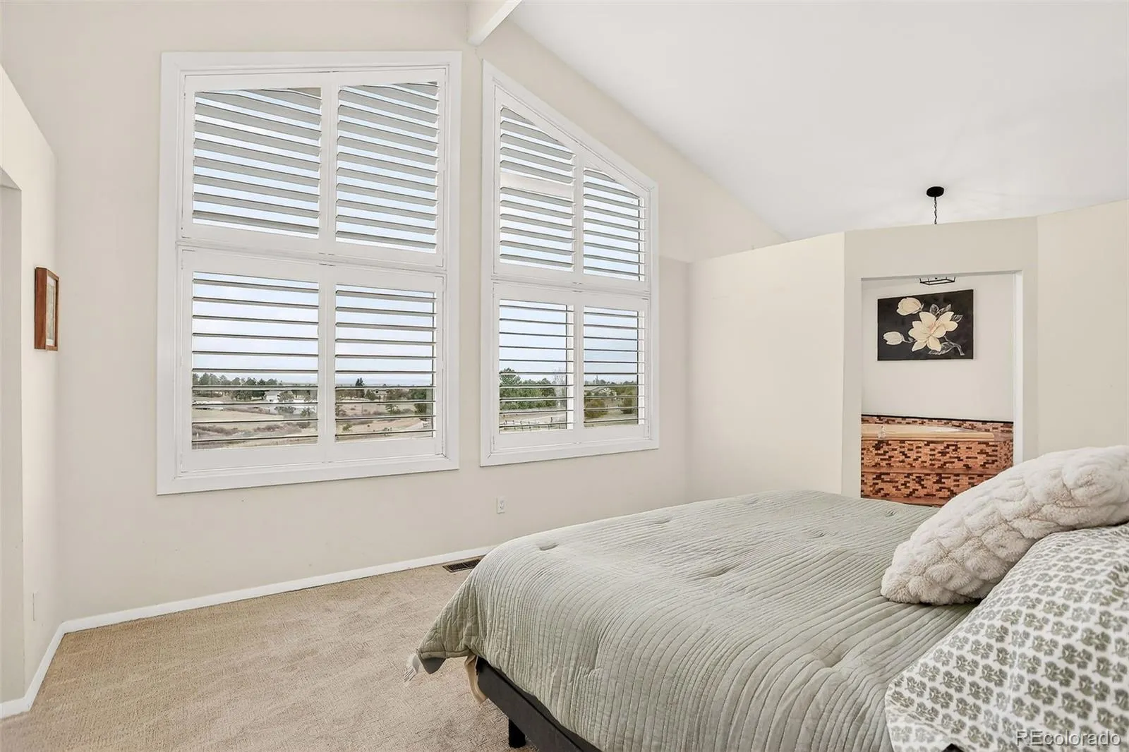 13786 Travois Trail Parker CO 80138 MLS #REC7008099 05202026222715 1600 18