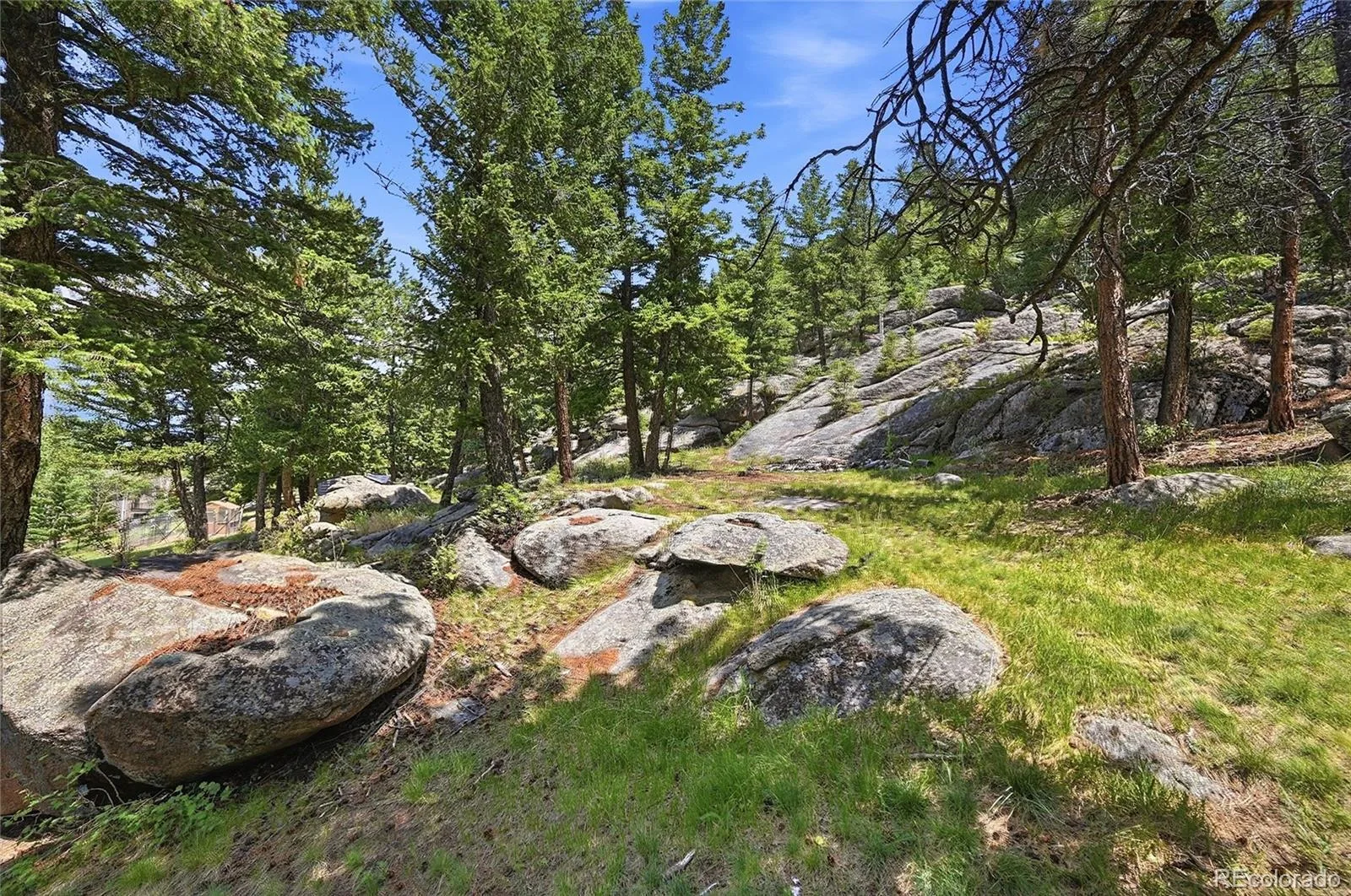 32042 Horseshoe Drive Evergreen CO 80439 | MLS #REC7009087 08072026165948 1600 46