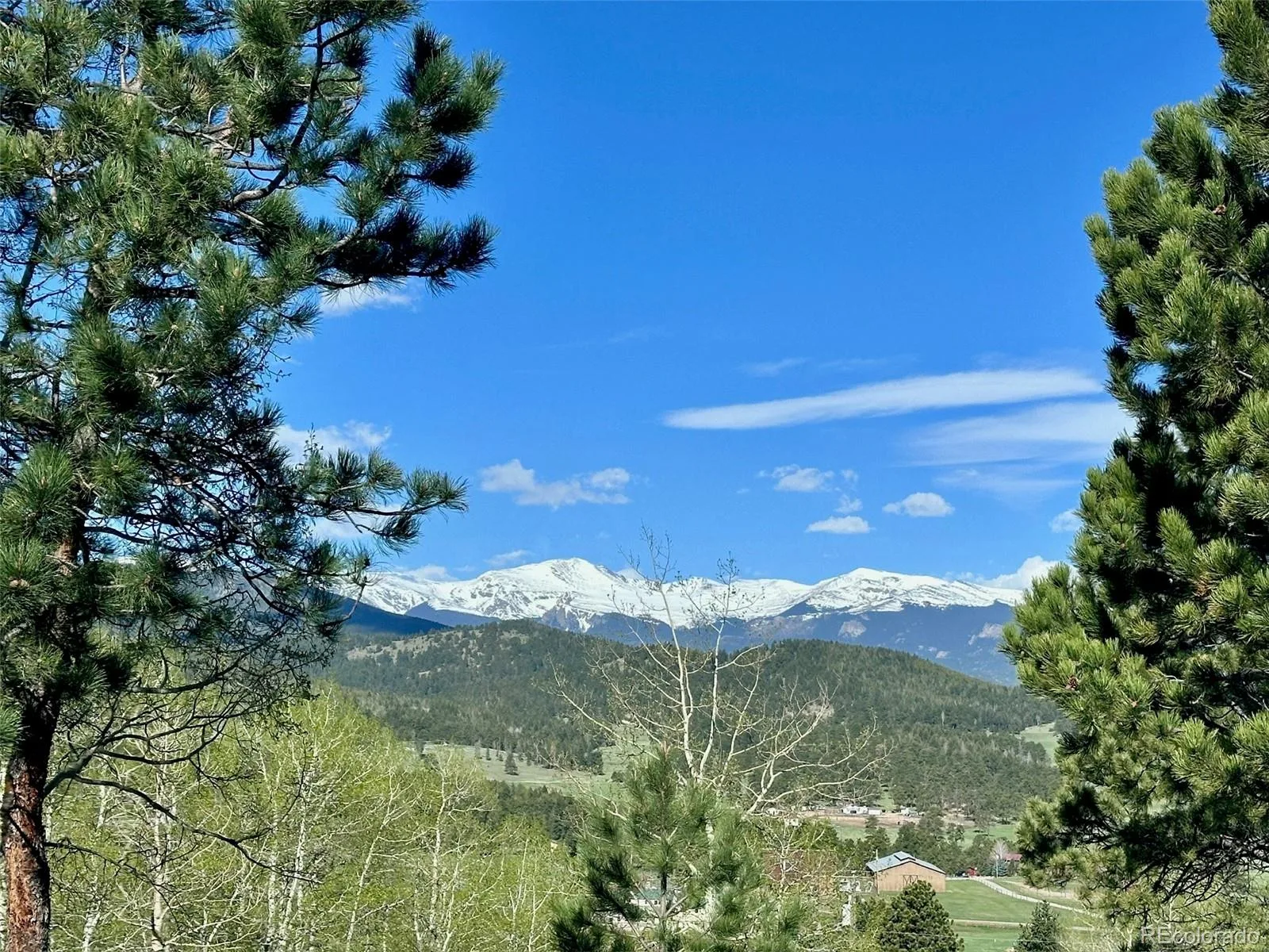32042 Horseshoe Drive Evergreen CO 80439 | MLS #REC7009087 08072026165948 1600 6