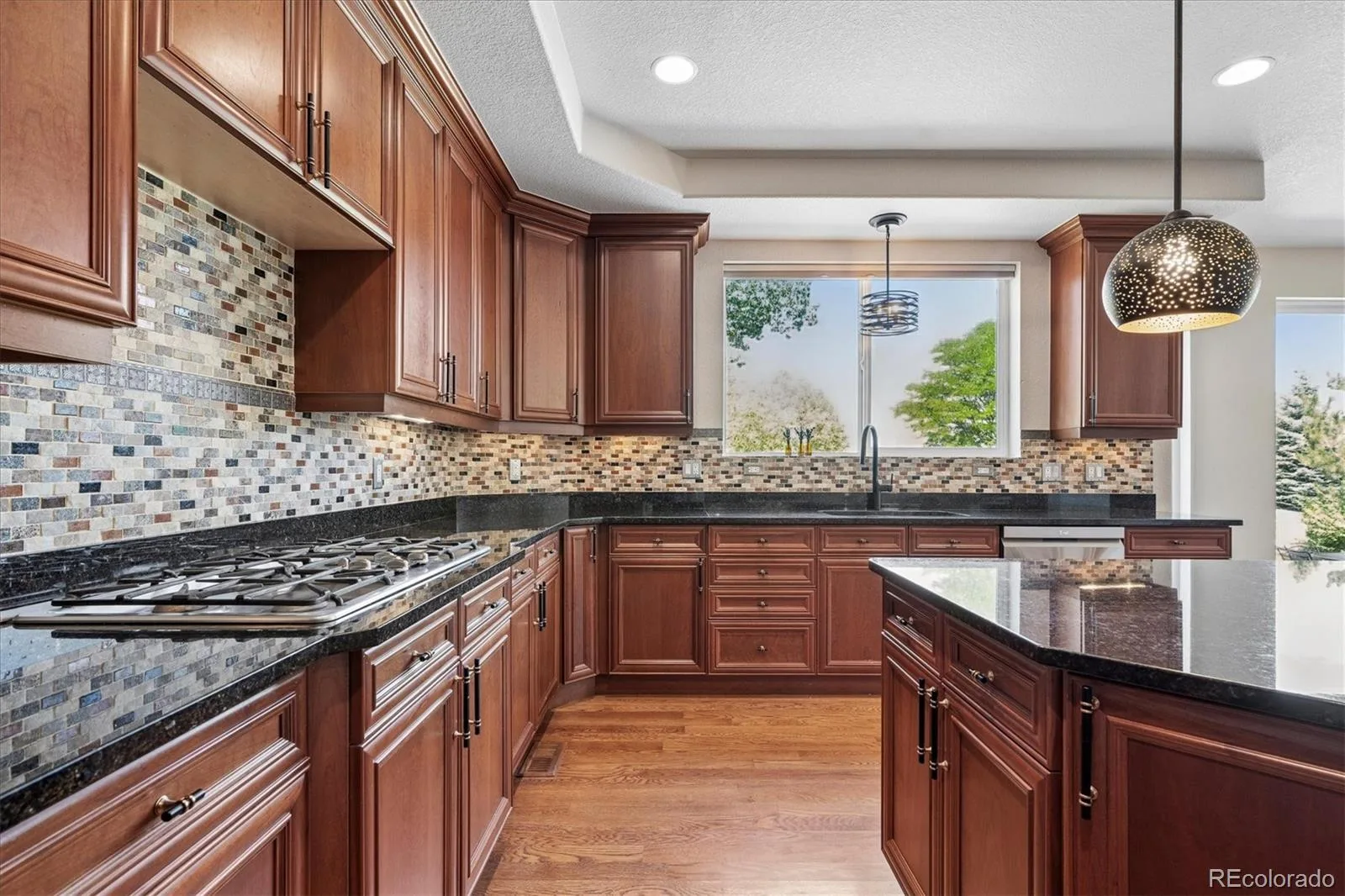 5615 Vistancia Drive Parker CO 80134 MLS #REC7010203 08072026203154 1600 19