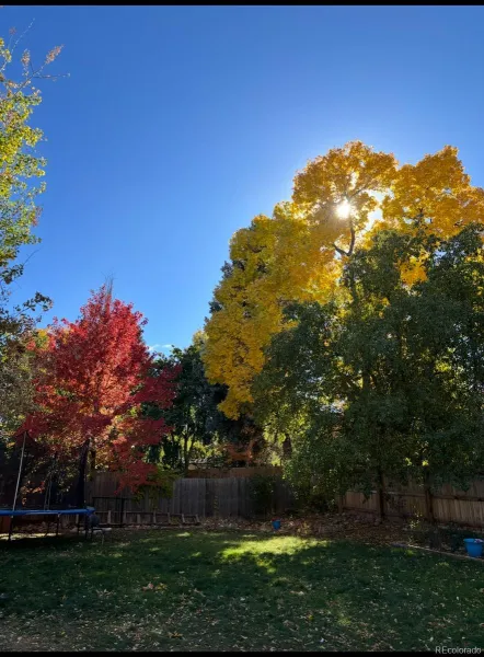 04152026160742 800 4