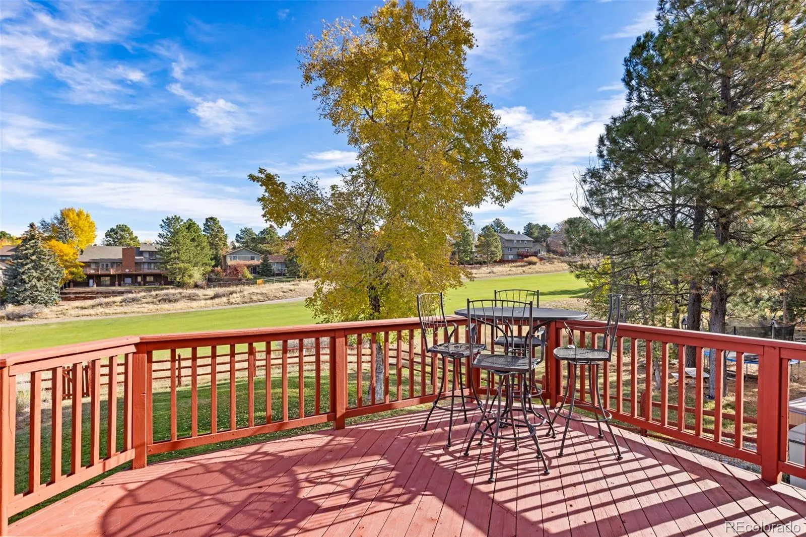 7787 Windfont Row Parker CO 80134 MLS #REC7014454 05212026184802 1600 24