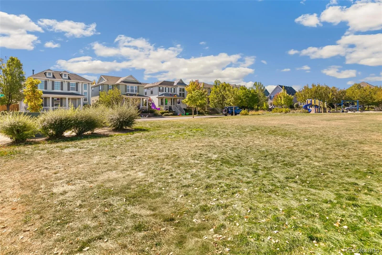 8096 E 20th Place Denver CO 80238 | MLS #REC7020247 10142026002148 1600 35