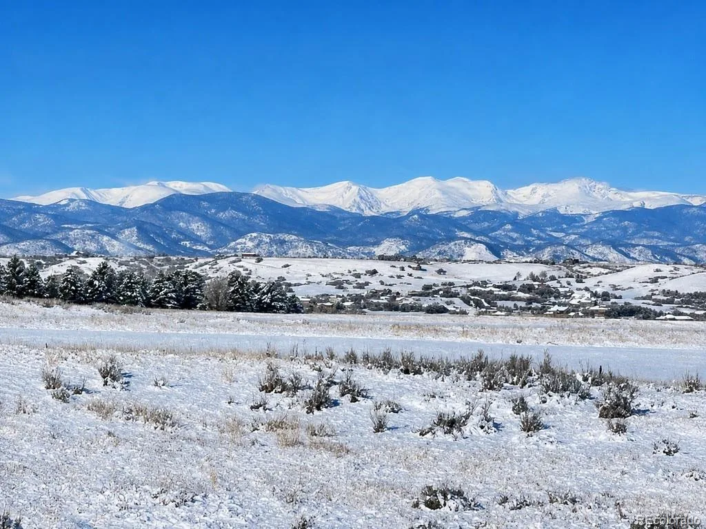 3221 Arnica Way Franktown CO 80116 | MLS #REC7022483 08282026214419 1024 43