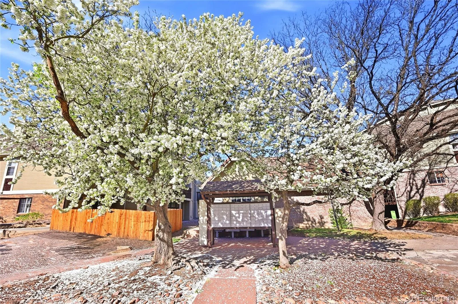 1885 S Quebec Way #A18 Denver CO 80231 | MLS #REC1778081 08202026204456 1600 20