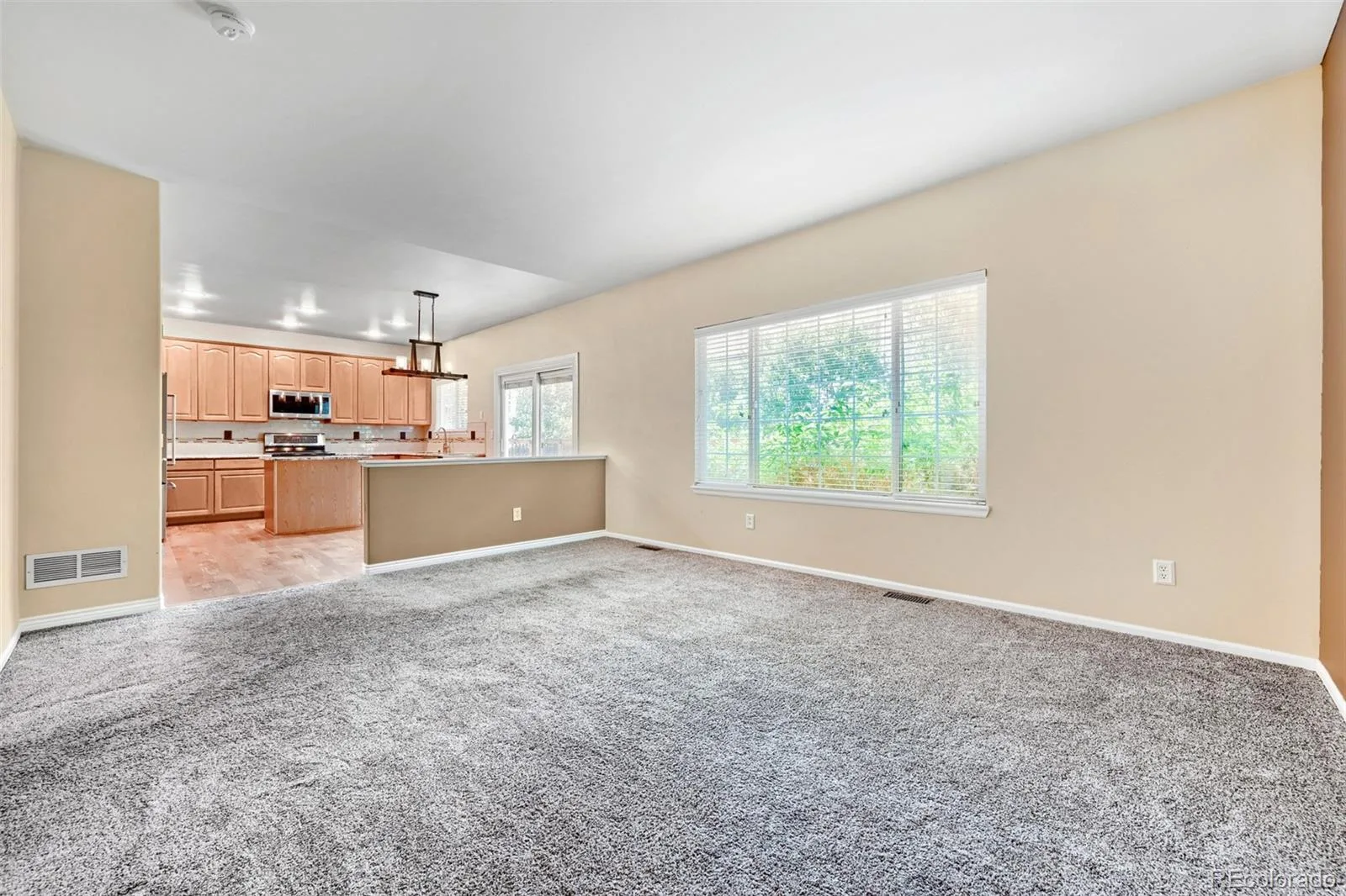20502 E Union Avenue Aurora CO 80015 | MLS #REC7027892 08072026161952 1600 12