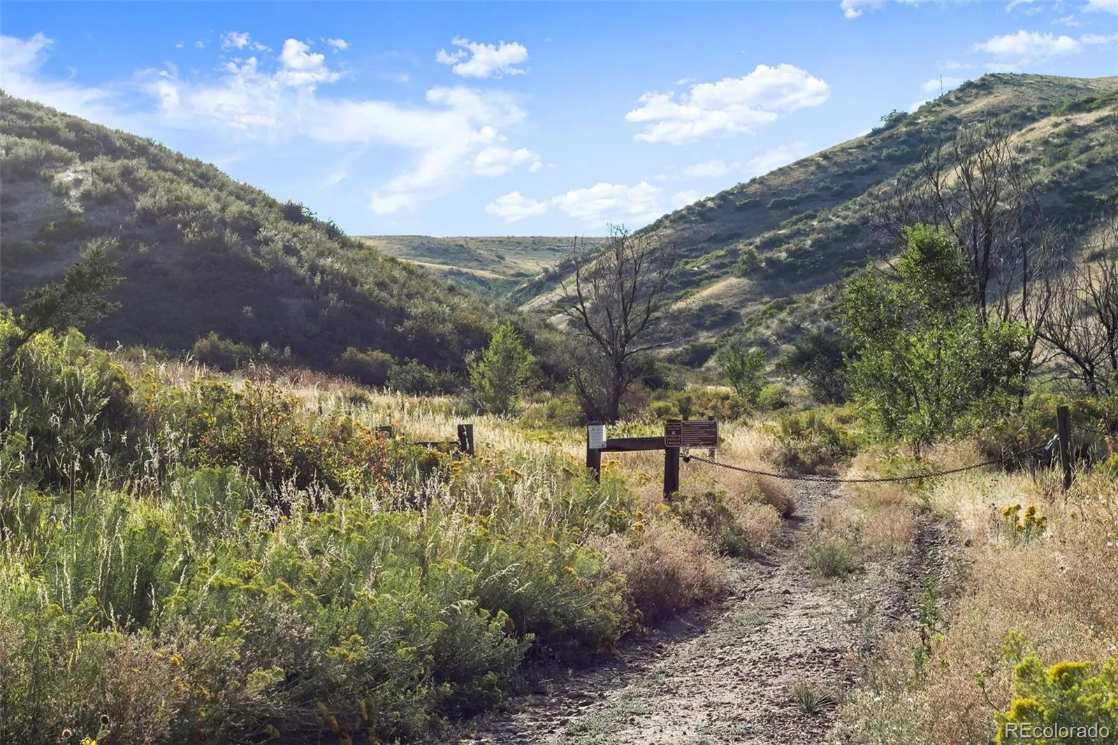 04152026192005 1600 36