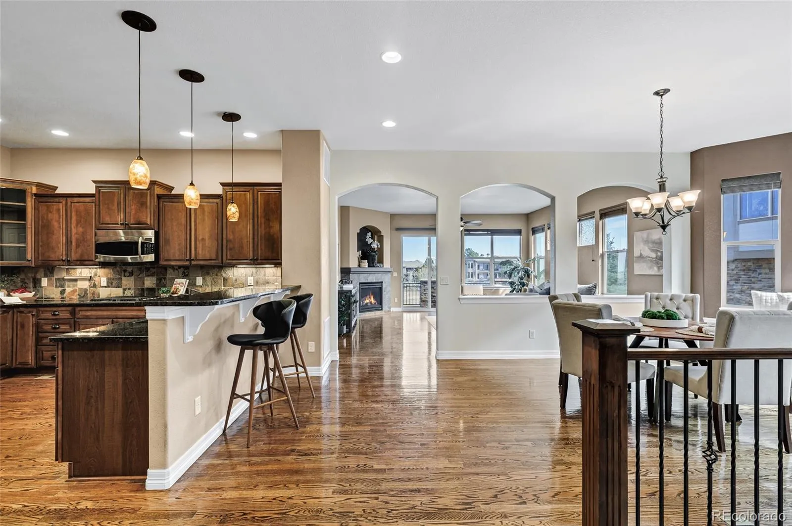 5220 Rialto Drive Parker CO 80134 MLS #REC7051547 04012026150634 1600 10