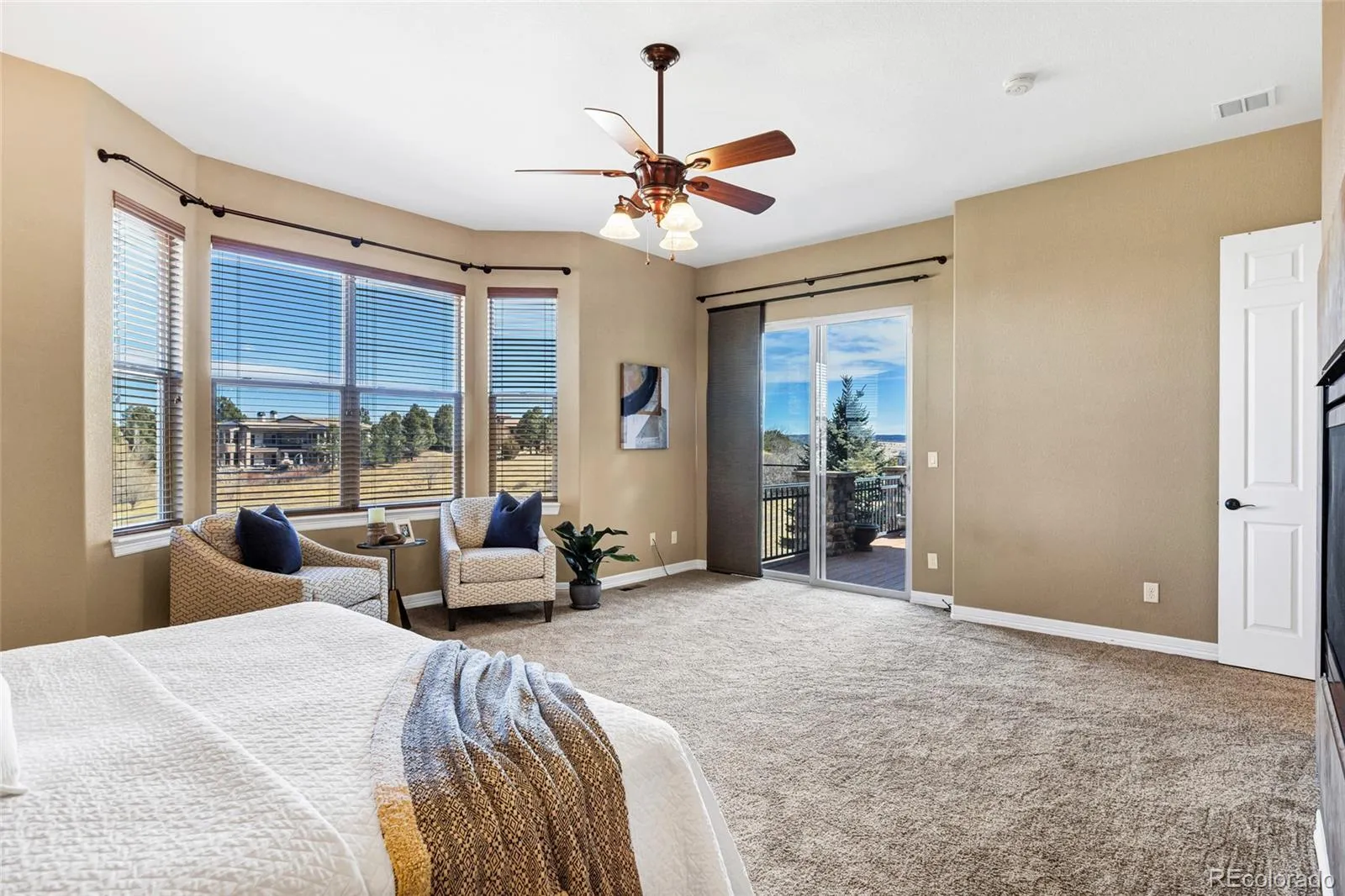 5220 Rialto Drive Parker CO 80134 MLS #REC7051547 04012026150634 1600 21